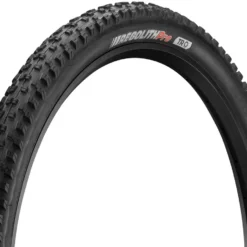 Kenda Regolith Pro TR 29" Faltreifen