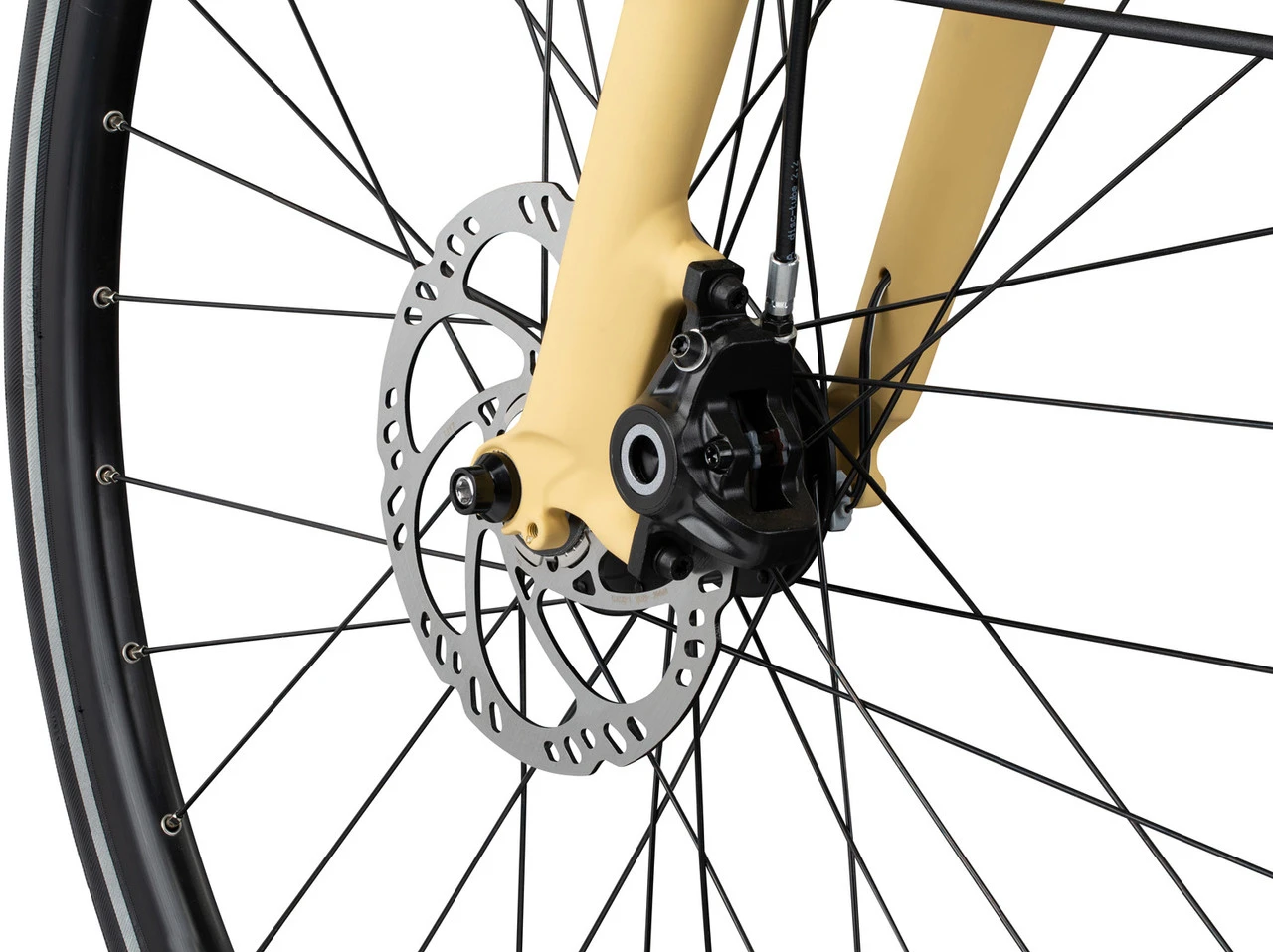 Modell 1 Campus Edition Herren Fahrrad 6 Modell 1 Campus Edition Herren Fahrrad – Bild 6