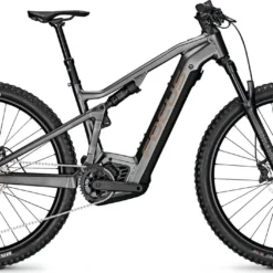Focus THRON² 6.8 29" E-Mountainbike -Rad Teile Welt 450995